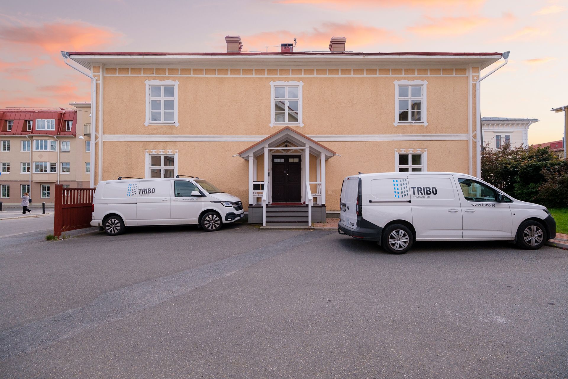 Summer job with us at Tribo